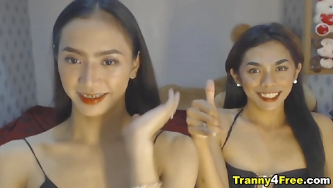 Asian shemale gets double penetrated with double dicking